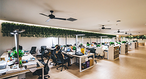 联系麻豆视频免费在线观看