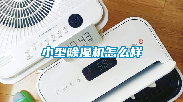 小型91麻豆精品一二三怎么样